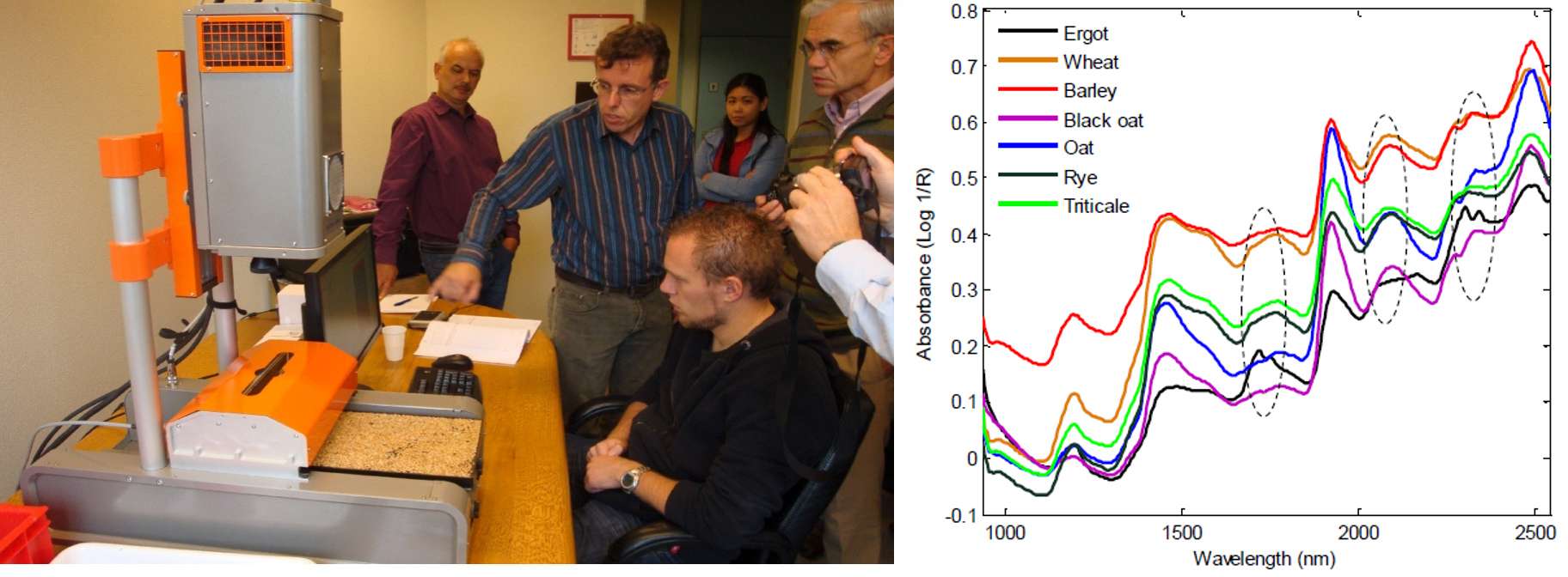 Figure 14: Contaminant detection in food using Specim SWIR. Ergot is a fungus with high toxicity, here, in black. The fungus has a spectral signature, which is different from his carrier, for example wheat, especially around 2,200 nanometers and 1,700 nanometers.